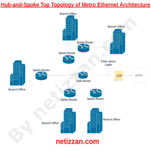 hub and spoke topology for metro Ethernet network architecture