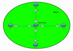 Network topology for demonstrating DR and BDR configuration